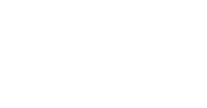 Logo Worldwide Flight